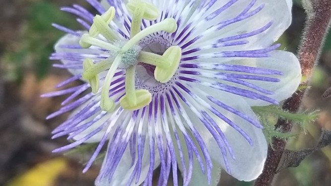 Ángulos Fotográficos - Ángulo Normal