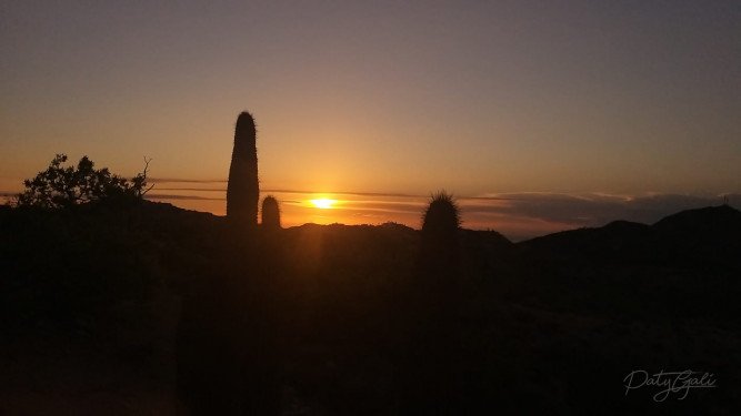 Funciones - Foto nivel bajo