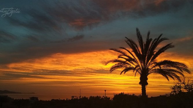 Reglas de Composición - Centro de Interés